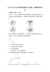 2023-2024学年山东省德州市陵城区八年级（上）期中数学试卷（含解析）