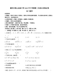 湖南省衡阳市船山实验中学2023-2024学年八年级上学期第二次月考数学试题(无答案)