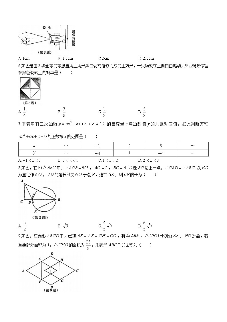 浙江省温州市瑞安市五校联考2023-2024学年九年级上学期12月期末数学试题02