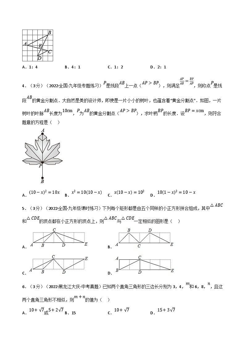专题4.9 相似三角形章末题型过关卷（学生版）-2023年九年级上册数学举一反三系列（浙教版）第2页