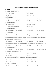 2024年中考数学真题模拟分类试题-- 数与式（1）