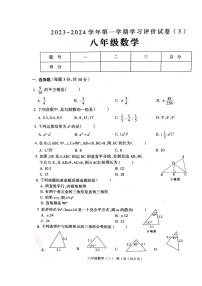 河南省周口市郸城县2023-2024学年八年级上学期12月月考数学试题