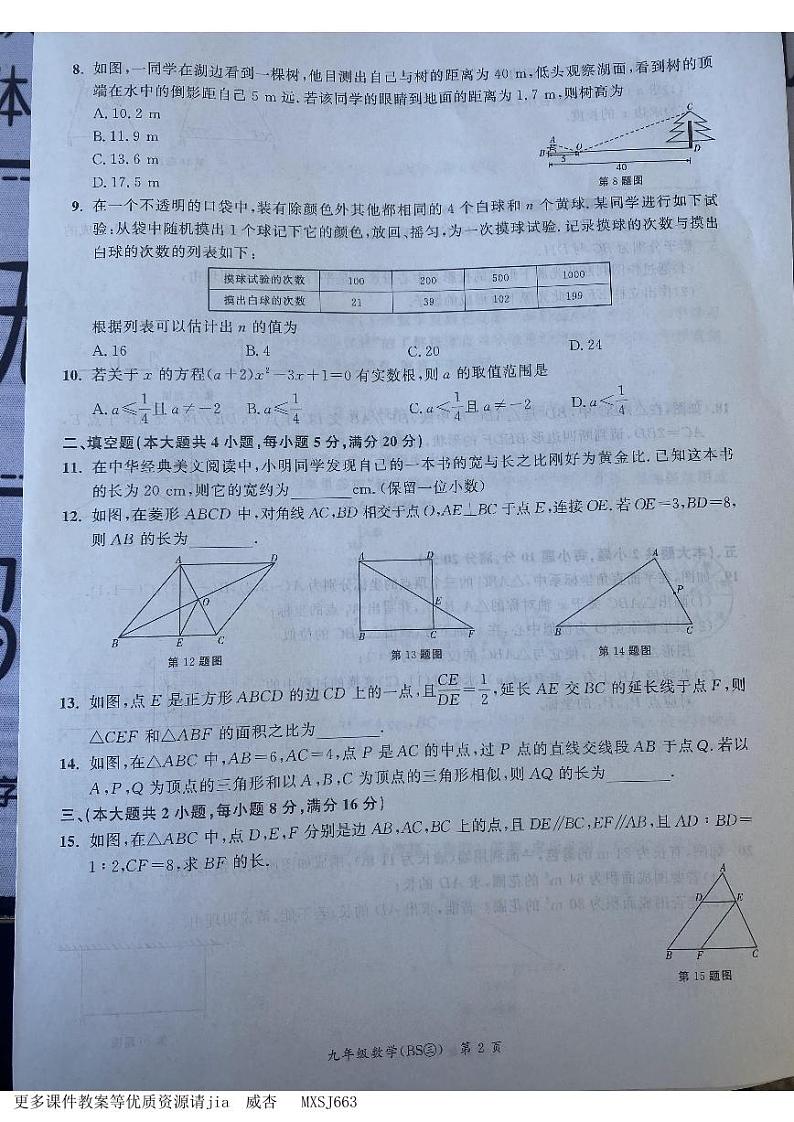 安徽省宿州市泗县2023-—2024学年九年级上学期12月月考数学试题02