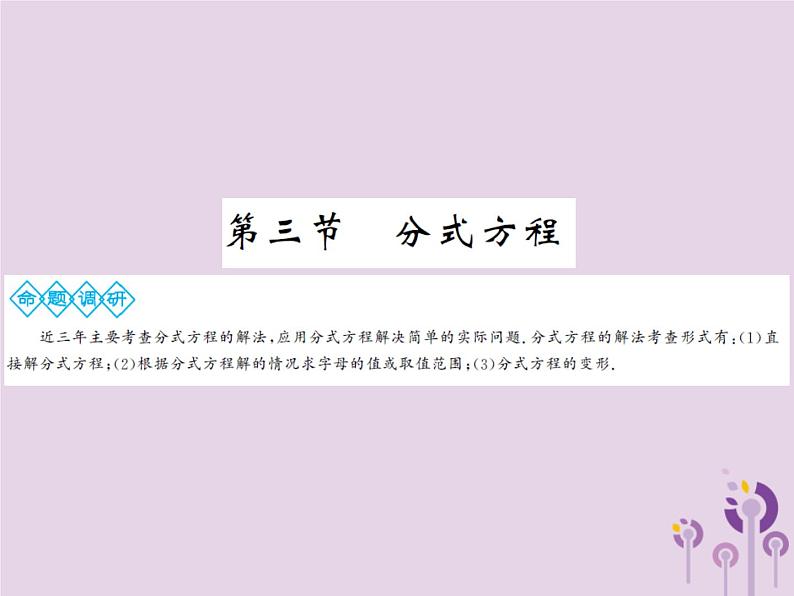 年中考数学总复习第二章第三节分式方程课件01