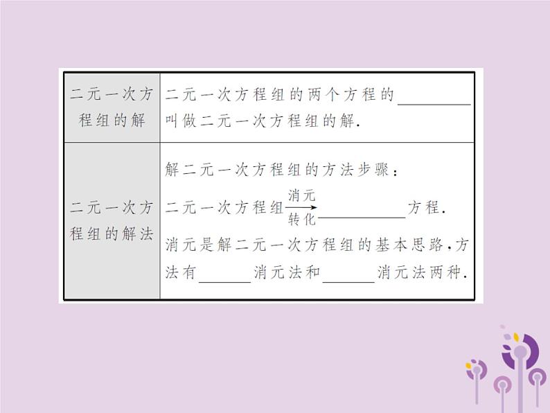 中考数学总复习第二章第一节一次方程组课件06