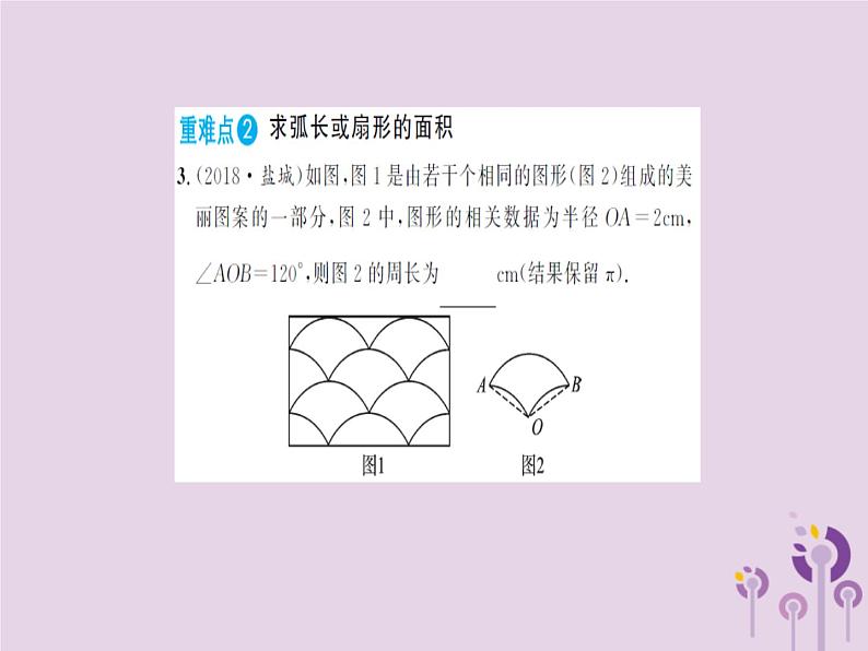 中考数学总复习第六章第三节与圆有关的计算课件第7页