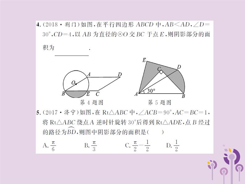 中考数学总复习第六章第三节与圆有关的计算课件第8页