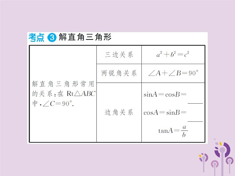 中考数学总复习第四章第六节锐角三角函数及其应用课件第4页