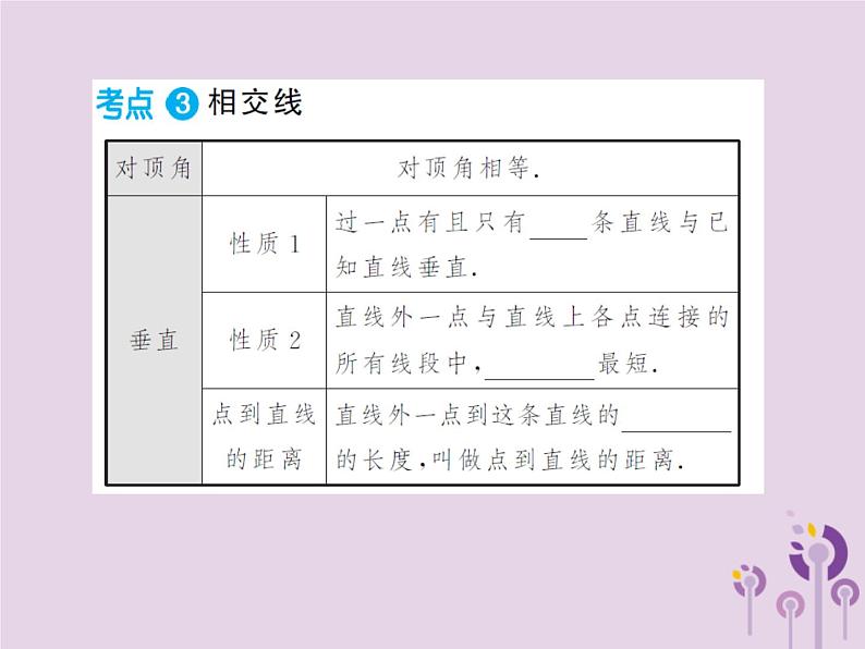 中考数学总复习第四章第一节角相交线与平行线课件第4页