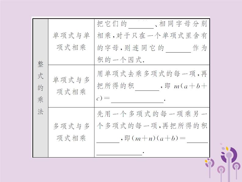 中考数学总复习第一章第二节整式与因式分解课件第5页