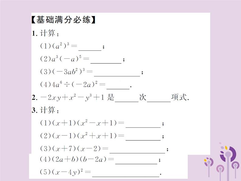 中考数学总复习第一章第二节整式与因式分解课件第8页