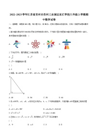 2022~2023学年江苏省苏州市苏州工业园区星汇学校八年级上学期期中数学试卷（含解析）