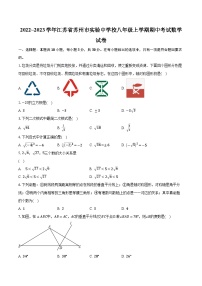 2022~2023学年江苏省苏州市实验中学校八年级上学期期中考试数学试卷（含解析）