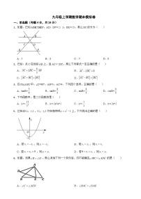 2023年上海市九年级上学期数学期末模拟卷附答案