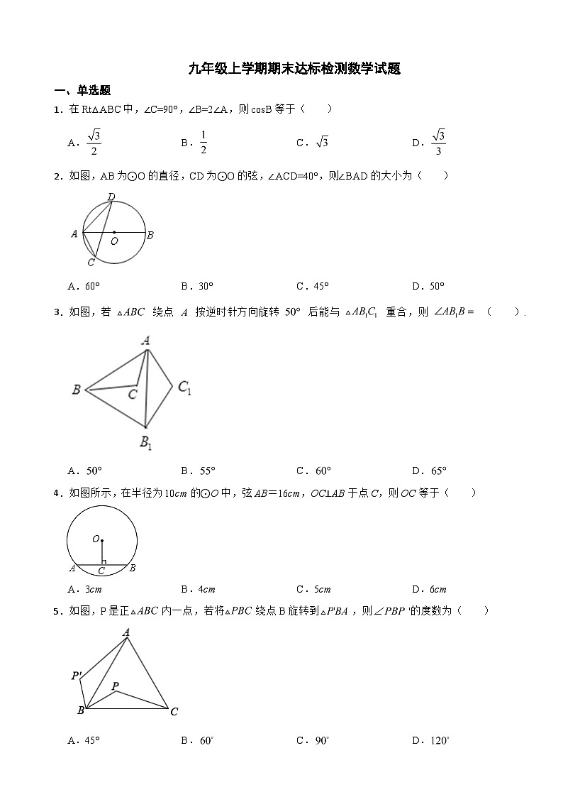 福建省晋江市2023年数学九年级上学期期末达标检测数学试题附答案第1页