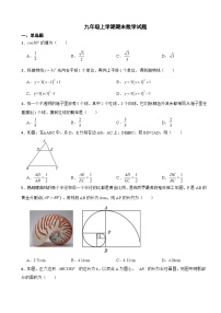 浙江省绍兴市2023年九年级上学期期末数学试题附答案