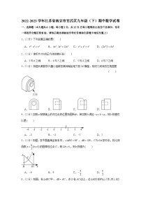 2022-2023学年江苏省南京市玄武区九年级（下）期中数学试卷