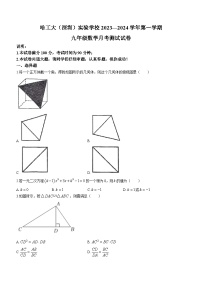 广东省 深圳市南山区哈尔滨工业大学（深圳）实验学校2023-2024学年九年级上学期数学月考数学试题(无答案)