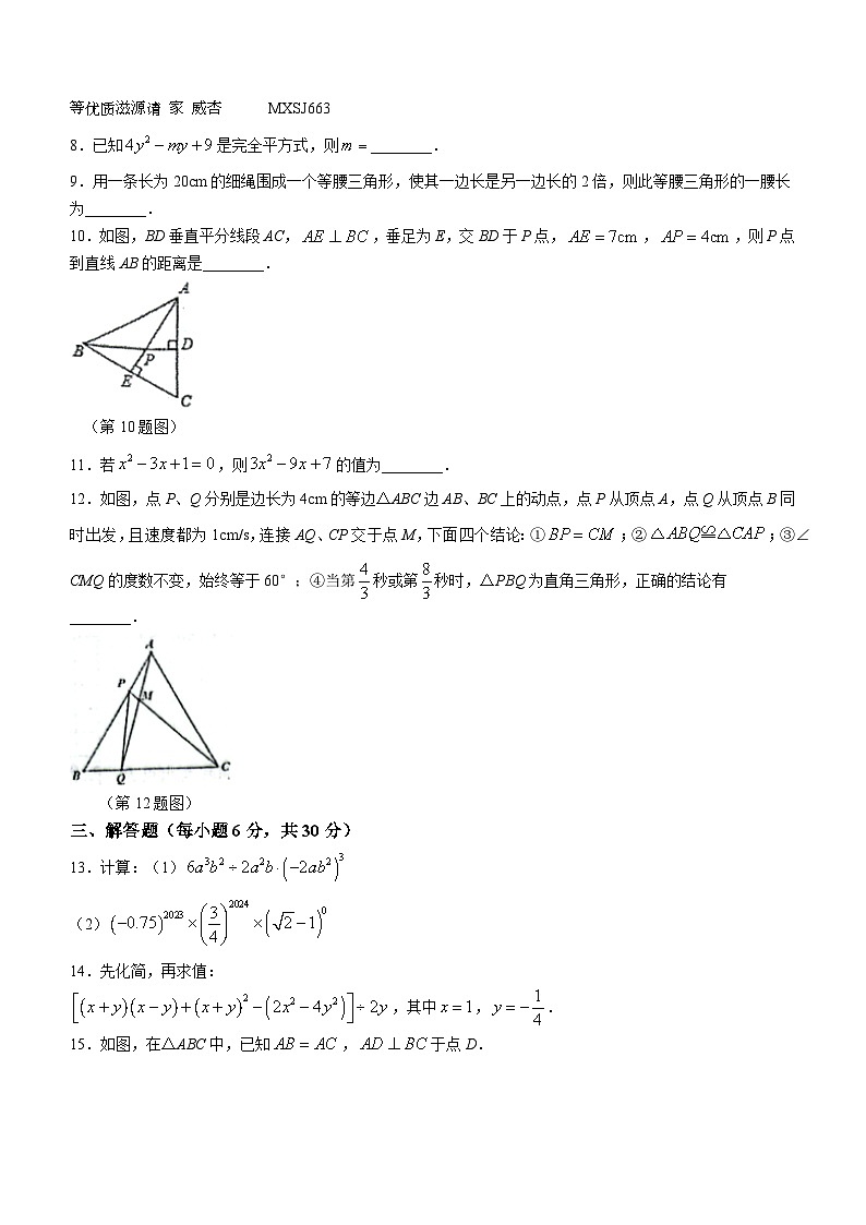 江西省新余市第四中学2023-2024学年八年级上学期第二次月考数学试题(无答案)第2页