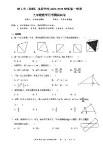 28，广东省 深圳市南山区哈尔滨工业大学（深圳）实验学校2023-2024学年上学期九年级数学12月月考试卷