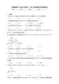 人教版数学八年级上册第十一章 三角形期末章节拔高练习(含答案)