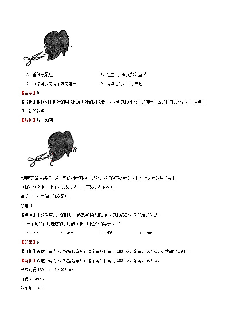 浙教版2023-2024学年七年级数学上册期末复习训练  原卷+解析卷03