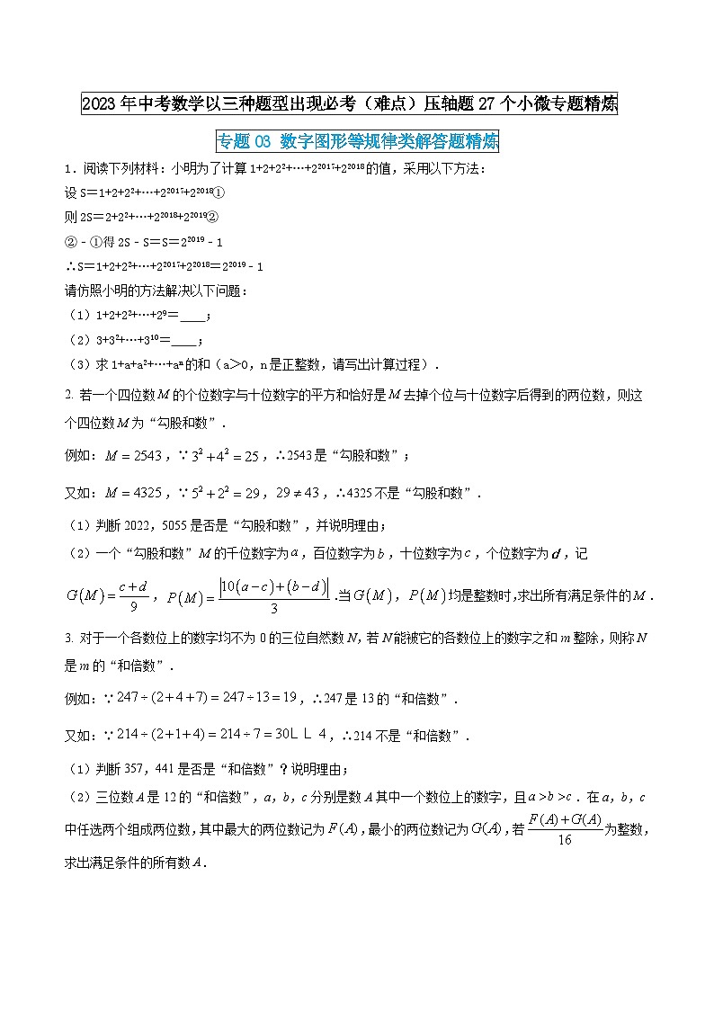 专题03 数字图形等规律类解答题精炼（原卷版）  第1页
