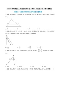 专题13 与相似三角形有关必考的选择题精炼-2023年中考数学以三种题型出现必考压轴题27个小微专题精炼