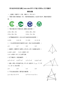 四川省泸州市龙马潭区2023-2024学年八年级上学期12月月考数学模拟试题（含答案）