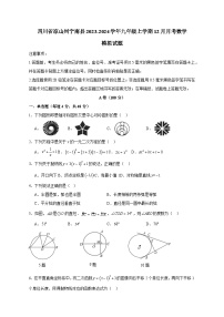 四川省凉山州宁南县2023-2024学年九年级上学期12月月考数学模拟试题（含答案）