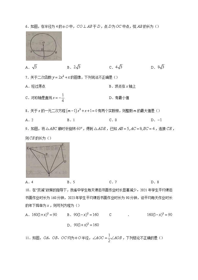 云南省昭通市巧家县2023-2024学年九年级上学期期中数学模拟试题（含答案）02