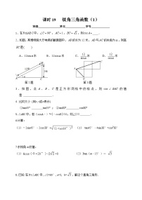 课时19锐角三角函数-2023-2024学年九年级中考数学第一轮复习练习