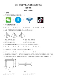 湖北省海亮教育仙桃市第一中学2023-2024学年八年级上册第三次月考数学试题（含解析）