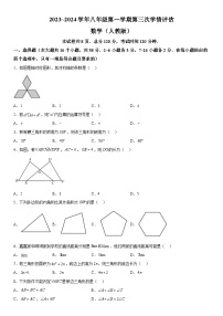 河北省廊坊市永清县第五中学2023-2024学年八年级上册月考数学试题（含解析）