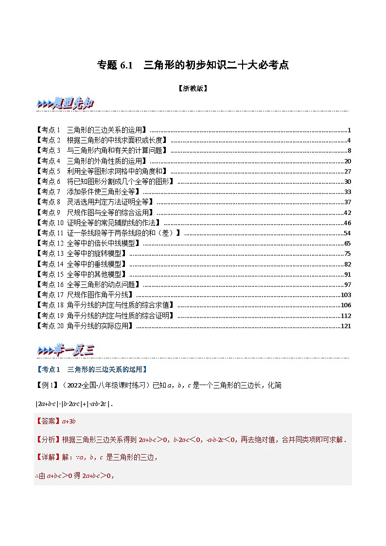 浙教版-2023年八年级上册数学举一反三系列 专题6.1 期中期末专项复习之三角形的初步知识二十大必考点（学生版+教师版）01