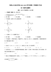 安徽省马鞍山市花山区马鞍山市成功学校2022-2023学年八年级上学期期中数学试题