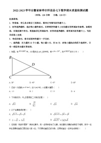 安徽省蚌埠市怀远县2022-2023学年七年级下学期期末数学试题