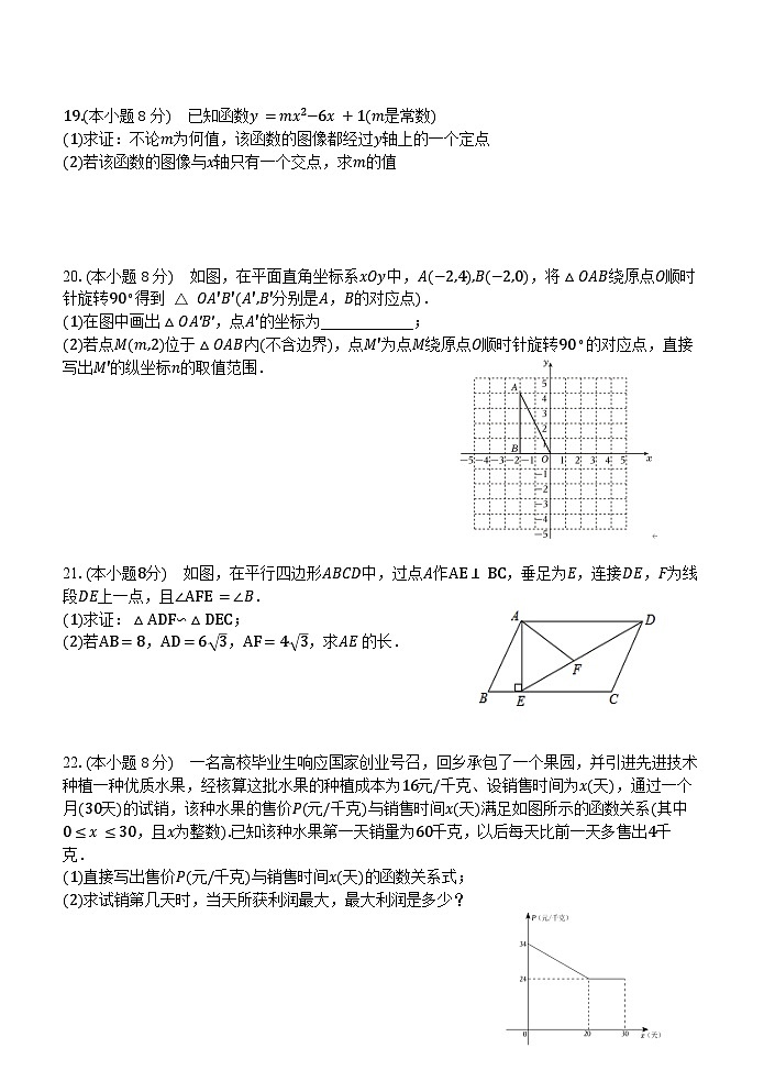 浙江省台州市书生中学2023-2024学年九年级上学期第三次检测（12月）数学试题第3页