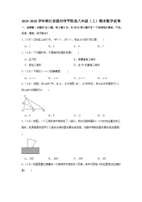 2019-2020学年浙江省温州市平阳县八年级（上）期末数学试卷