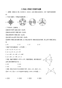 山东省聊城市东阿县第三中学2023-2024学年八年级上学期12月月考数学试题