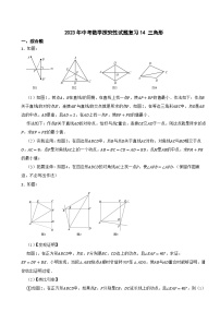 2024年中考数学探究性试题总复习-- 三角形（14）