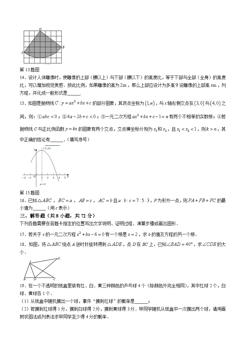 湖北省武汉市青山区2023-2024学年九年级上学期月考数学试题03
