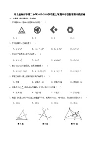 湖北省钟祥市第二中学2023-—2024学年上学期八年级数学期末模拟卷