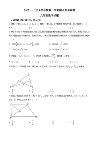 河北省秦皇岛市昌黎县2022-2023学年九年级上学期期末数学试题