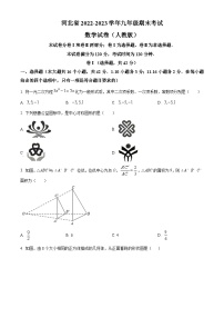 河北省邢台市平乡县实验中学、平乡县第五中学2022-2023学年九年级上学期期末联考数学试题