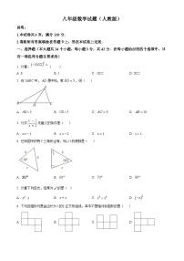 河北省邢台市威县2022-2023学年八年级上学期期末数学试题