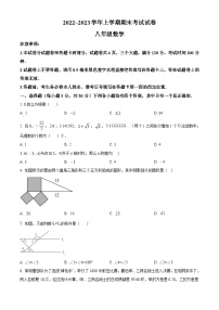 河南省平顶山市汝州市2022-2023学年八年级上学期期末数学试题