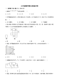 河南省信阳市平桥区龙井乡中心学校等5校2022-2023学年九年级上学期期末数学试题