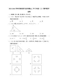 _河南省驻马店市确山县第二初级中学2023-2024学年八年级上学期期中数学试卷