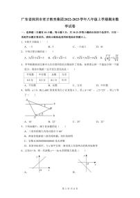 2022-2023深圳市育才八年级（上）期末数学试卷